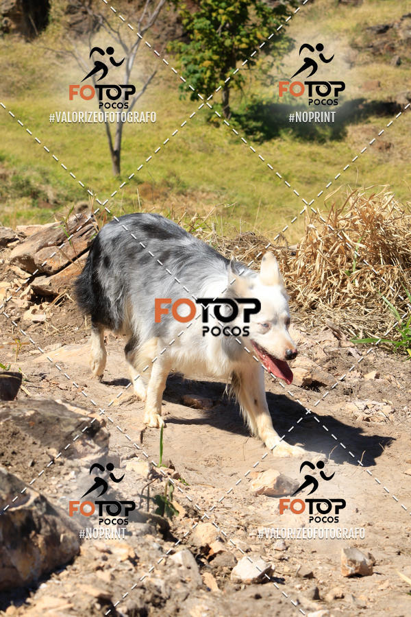 Buy your photos of the event1� King Mountain - Caminhada de Montanha on Fotop