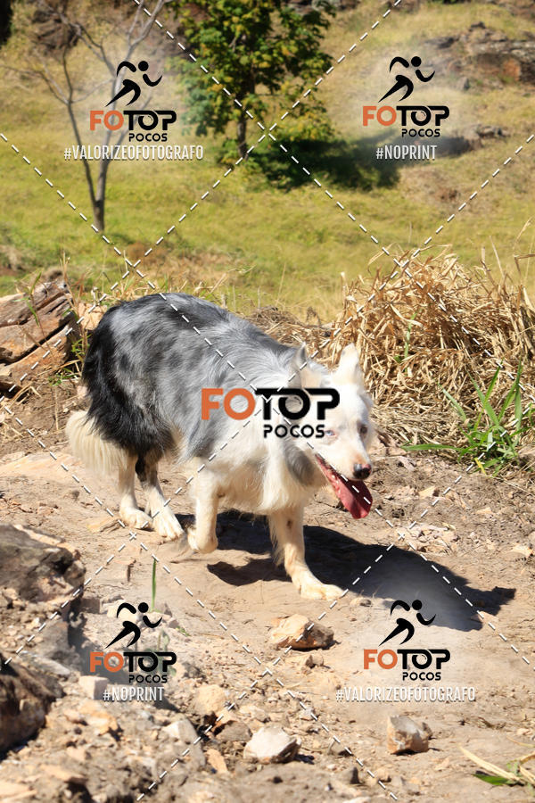 Buy your photos of the event1� King Mountain - Caminhada de Montanha on Fotop