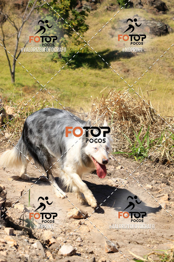 Buy your photos of the event1� King Mountain - Caminhada de Montanha on Fotop