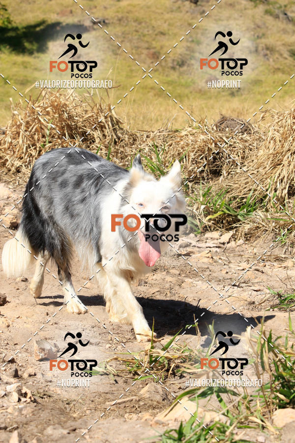 Buy your photos of the event1� King Mountain - Caminhada de Montanha on Fotop