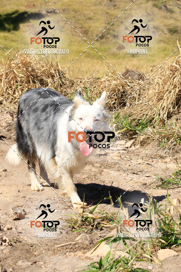 Buy your photos of the event1� King Mountain - Caminhada de Montanha on Fotop