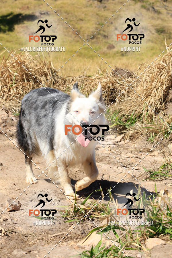 Buy your photos of the event1� King Mountain - Caminhada de Montanha on Fotop