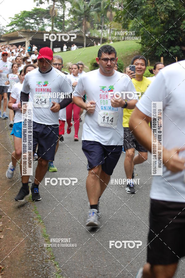 Buy your photos of the eventRunning For Animals on Fotop