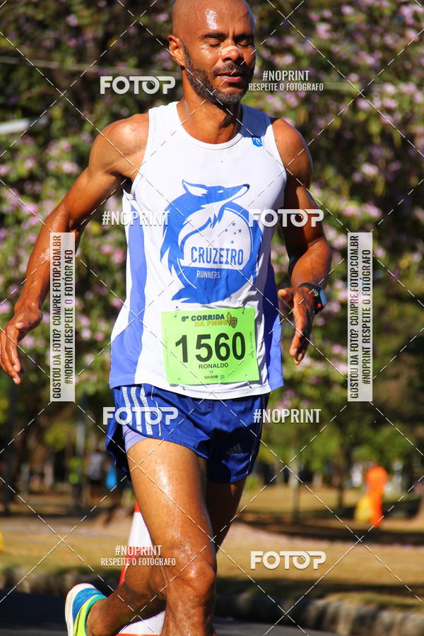 Buy your photos of the event6 Corrida da Polcia Militar de Minas Gerais on Fotop