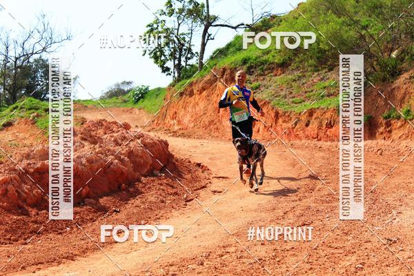 Acquista le foto dell'eventoTreino Premiado de Canicross in Fotop