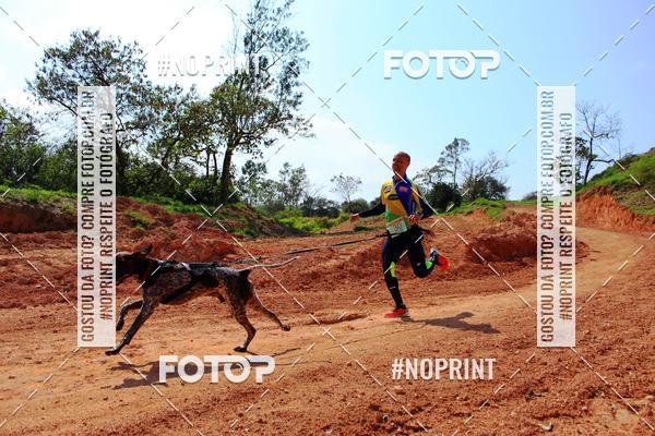 Acquista le foto dell'eventoTreino Premiado de Canicross in Fotop