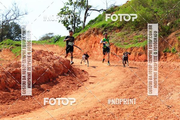 Compre suas fotos do eventoTreino Premiado de Canicross no Fotop