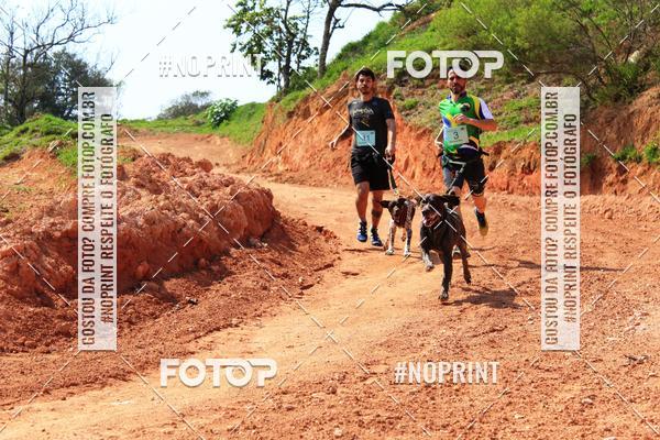 Compre suas fotos do eventoTreino Premiado de Canicross no Fotop