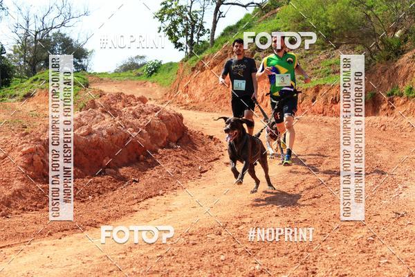 Compre suas fotos do eventoTreino Premiado de Canicross no Fotop