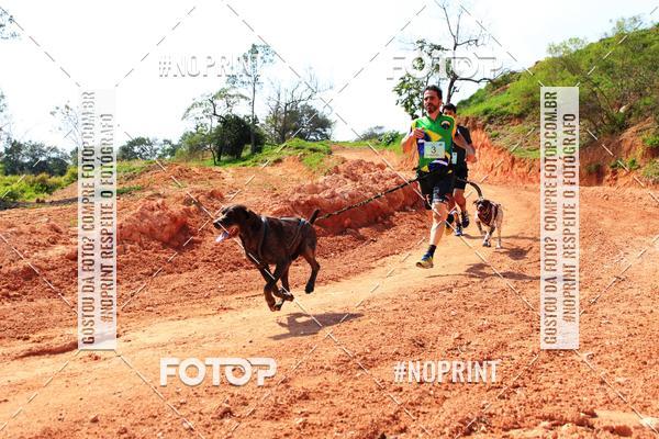Compre suas fotos do eventoTreino Premiado de Canicross no Fotop