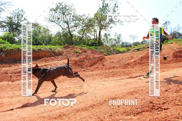 Compre suas fotos do eventoTreino Premiado de Canicross no Fotop