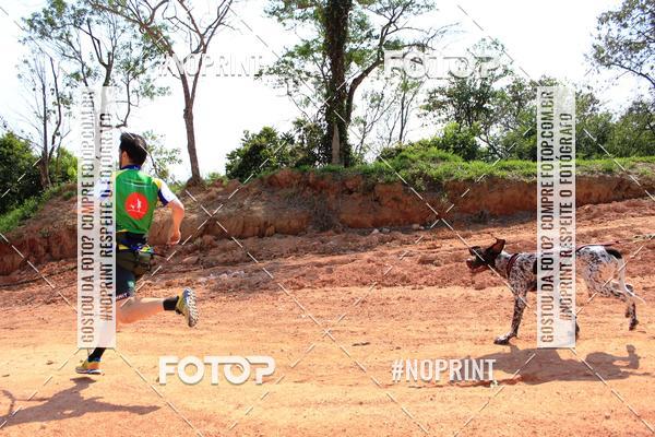 Compre suas fotos do eventoTreino Premiado de Canicross no Fotop