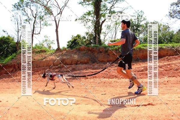 Compre suas fotos do eventoTreino Premiado de Canicross no Fotop