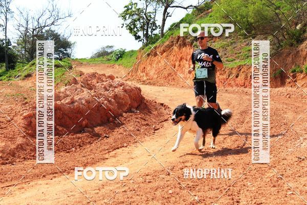 Compre suas fotos do eventoTreino Premiado de Canicross no Fotop