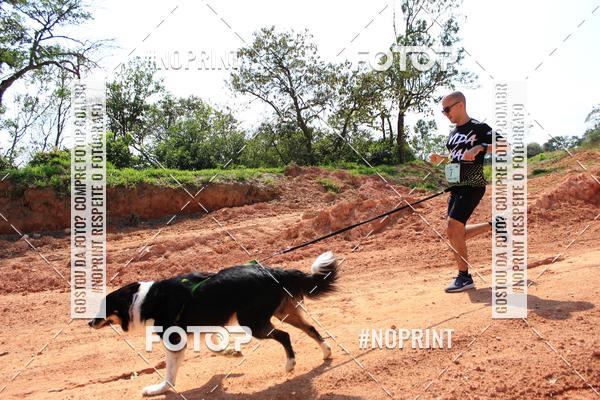 Compre suas fotos do eventoTreino Premiado de Canicross no Fotop