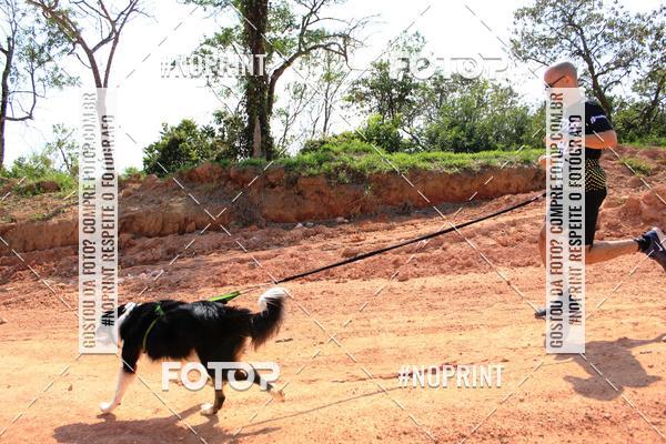 Compre suas fotos do eventoTreino Premiado de Canicross no Fotop