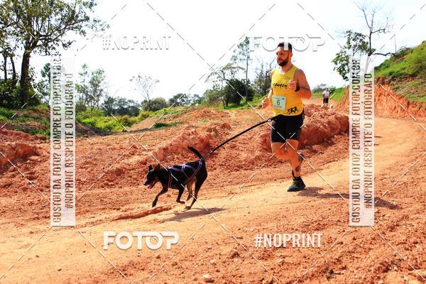 Compre as suas fotos do eventoTreino Premiado de Canicross no Fotop