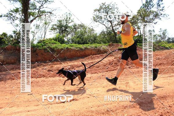 Compre as suas fotos do eventoTreino Premiado de Canicross no Fotop