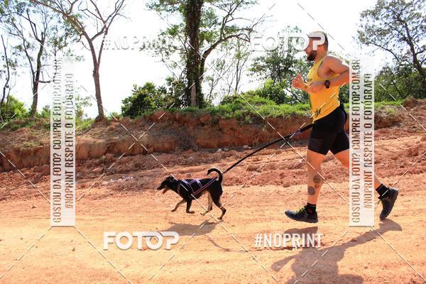 Compre as suas fotos do eventoTreino Premiado de Canicross no Fotop