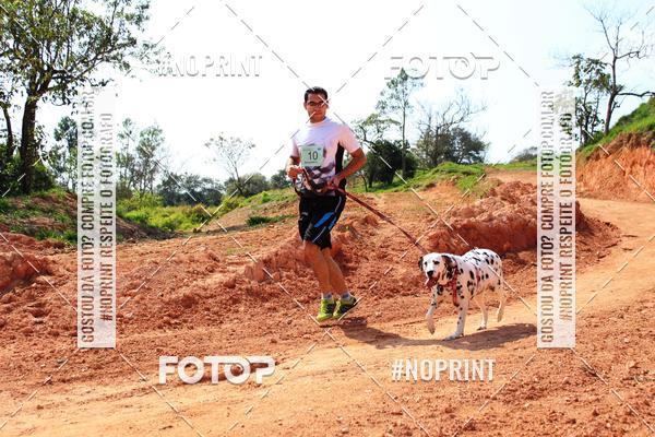 Achetez vos photos de l'vnementTreino Premiado de Canicross sur Fotop