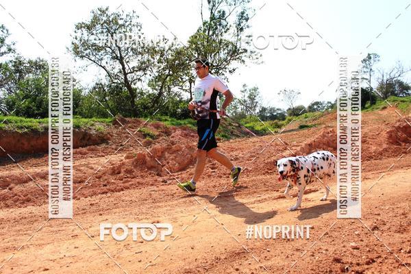 Achetez vos photos de l'vnementTreino Premiado de Canicross sur Fotop