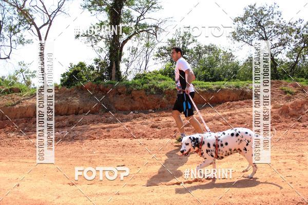 Achetez vos photos de l'vnementTreino Premiado de Canicross sur Fotop