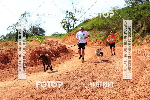 Achetez vos photos de l'vnementTreino Premiado de Canicross sur Fotop