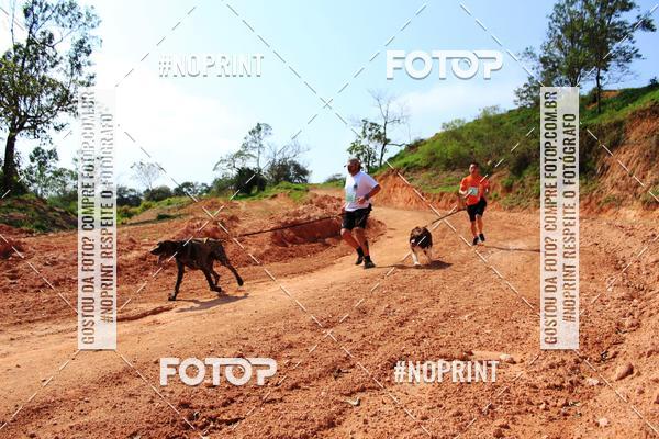 Achetez vos photos de l'vnementTreino Premiado de Canicross sur Fotop