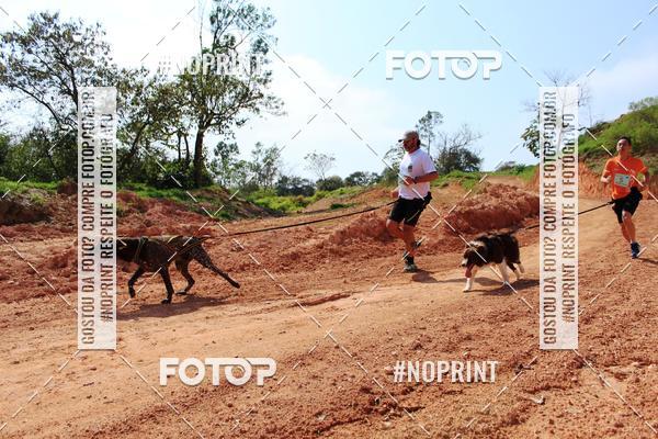 Achetez vos photos de l'vnementTreino Premiado de Canicross sur Fotop