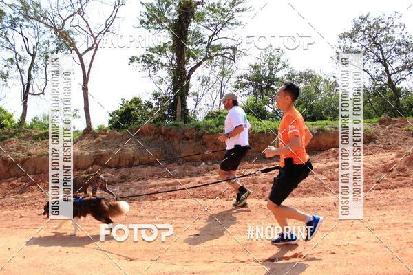 Achetez vos photos de l'vnementTreino Premiado de Canicross sur Fotop