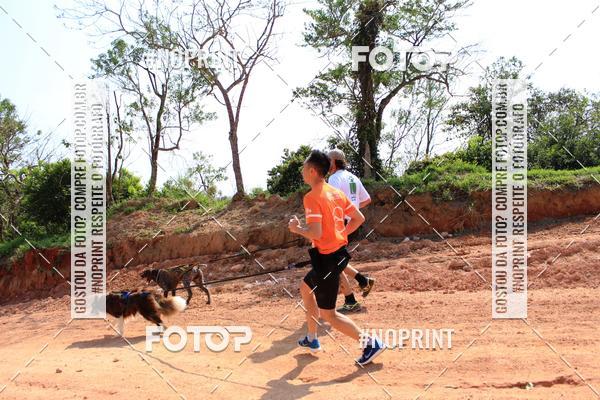 Achetez vos photos de l'vnementTreino Premiado de Canicross sur Fotop