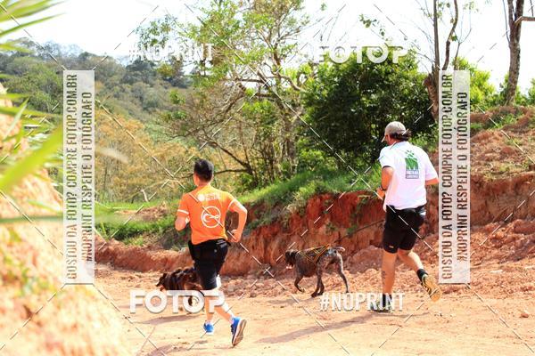 Achetez vos photos de l'vnementTreino Premiado de Canicross sur Fotop