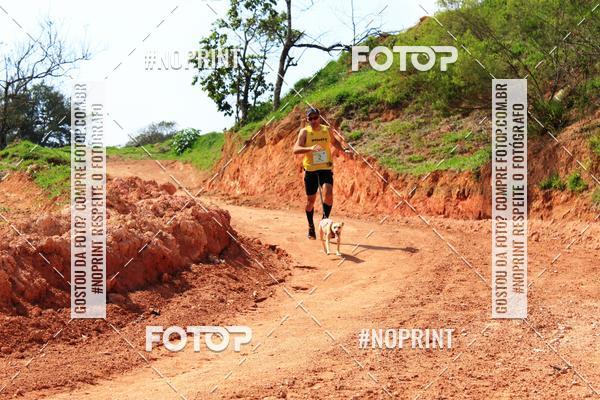 Achetez vos photos de l'vnementTreino Premiado de Canicross sur Fotop