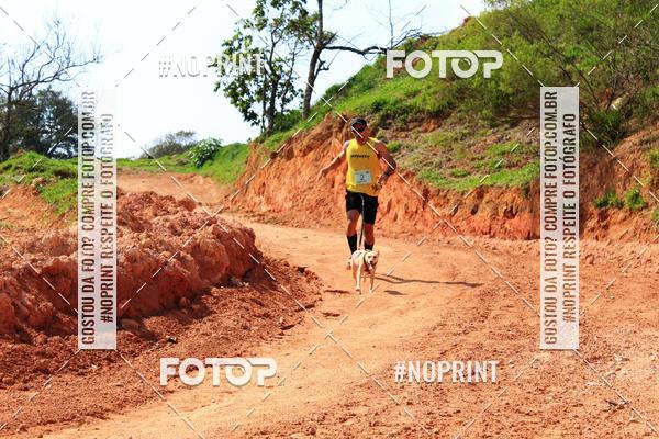 Achetez vos photos de l'vnementTreino Premiado de Canicross sur Fotop