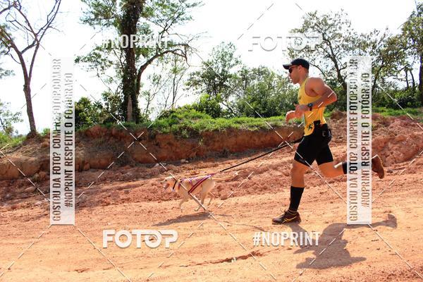 Compra tus fotos del eventoTreino Premiado de Canicross En Fotop