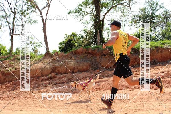 Compra tus fotos del eventoTreino Premiado de Canicross En Fotop