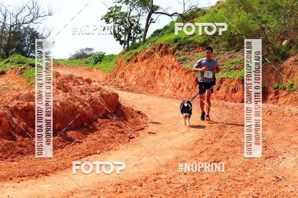 Compra tus fotos del eventoTreino Premiado de Canicross En Fotop