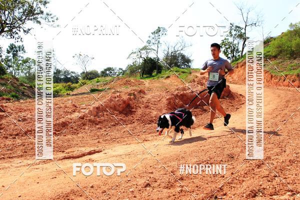 Compra tus fotos del eventoTreino Premiado de Canicross En Fotop