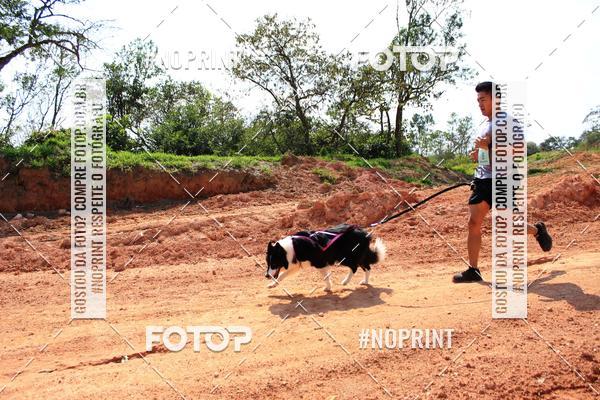 Compra tus fotos del eventoTreino Premiado de Canicross En Fotop