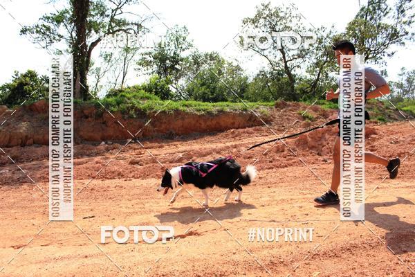 Compra tus fotos del eventoTreino Premiado de Canicross En Fotop