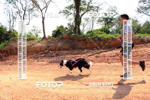 Compra tus fotos del eventoTreino Premiado de Canicross En Fotop