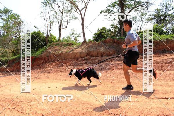 Compra tus fotos del eventoTreino Premiado de Canicross En Fotop