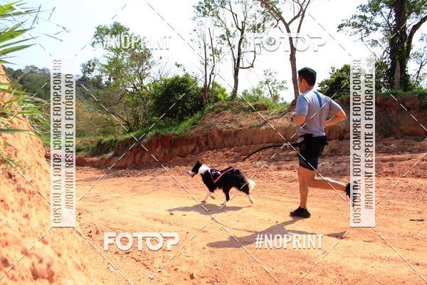 Compra tus fotos del eventoTreino Premiado de Canicross En Fotop