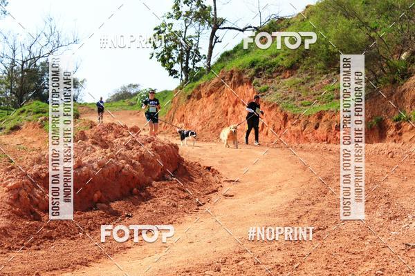 Compre as suas fotos do eventoTreino Premiado de Canicross no Fotop