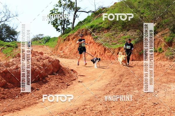 Compre as suas fotos do eventoTreino Premiado de Canicross no Fotop
