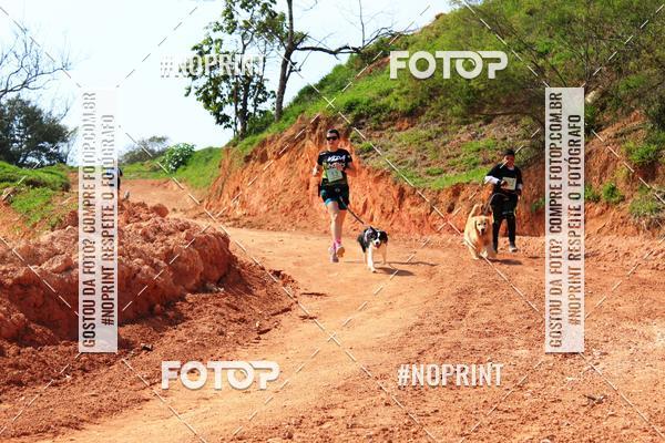 Compre as suas fotos do eventoTreino Premiado de Canicross no Fotop