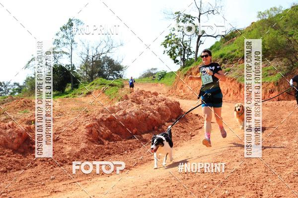 Compre as suas fotos do eventoTreino Premiado de Canicross no Fotop