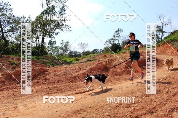 Compre as suas fotos do eventoTreino Premiado de Canicross no Fotop