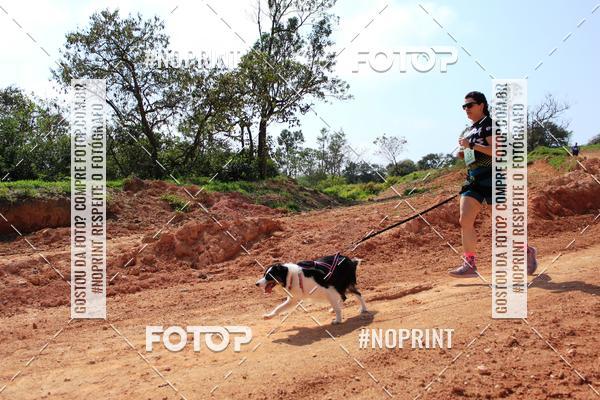 Compre as suas fotos do eventoTreino Premiado de Canicross no Fotop