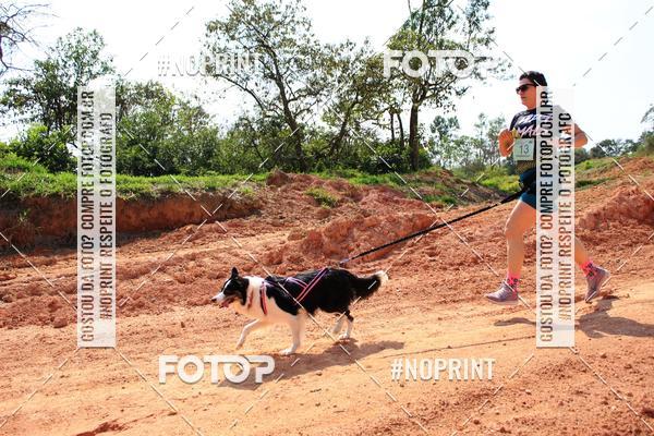 Compre as suas fotos do eventoTreino Premiado de Canicross no Fotop